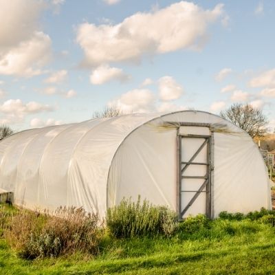 Ein weißes Gewächshaus mit Polytunnel steht auf grünem Gras, umgeben von Pflanzen und Sträuchern, mit einem teilweise bewölkten blauen Himmel und ein paar Bäumen im Hintergrund.